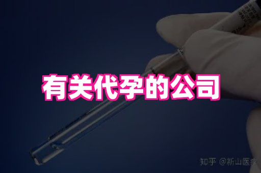 江苏助孕网 2