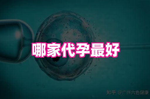 江苏助孕网 4